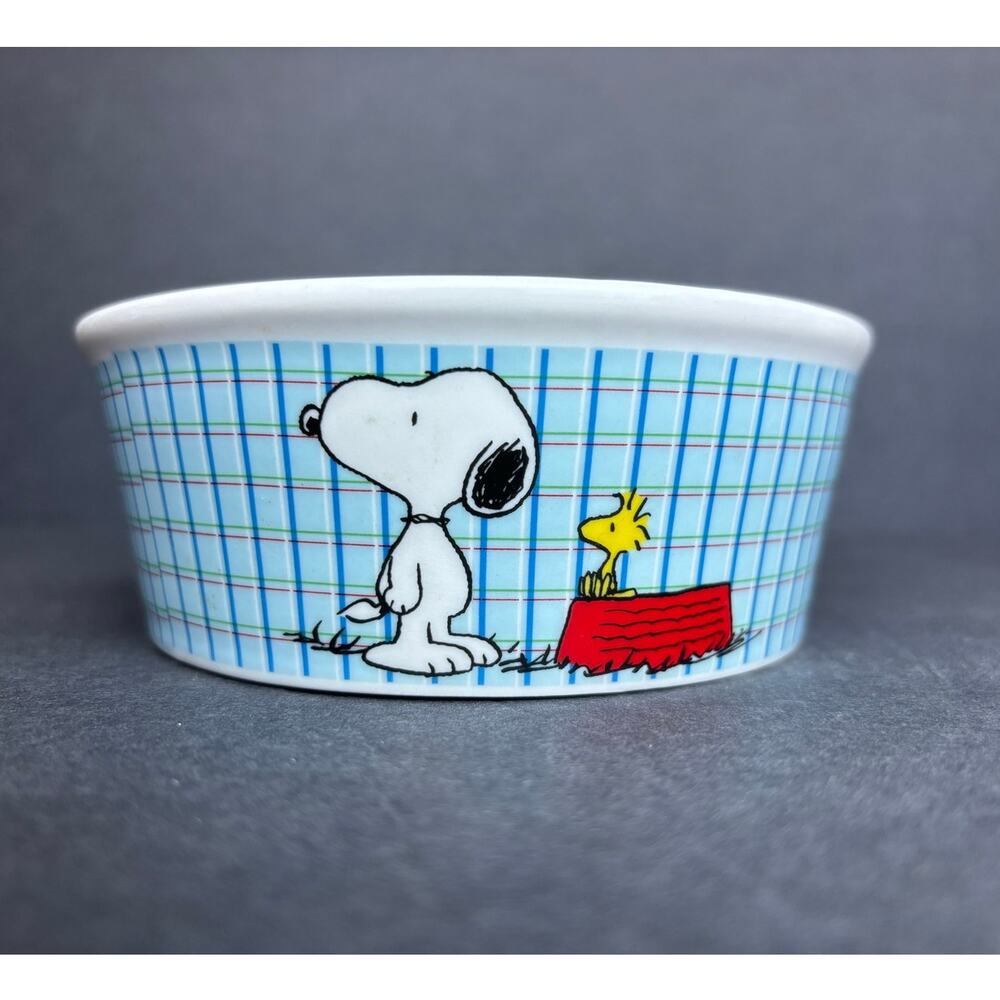 PEANUTS Stoneware Pet Bowl Snoopy Woodstock All Gone! 5 in White Blue Red Yellow